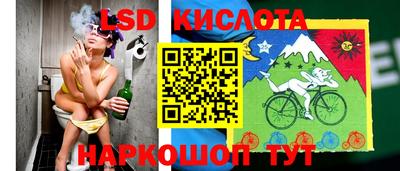 дживик Новодвинск