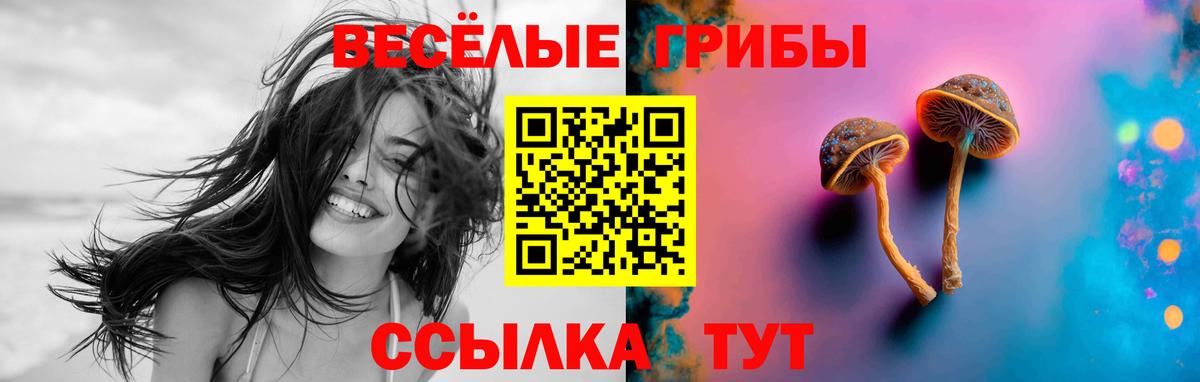Сергиев Посад  Галлюциногенные грибы GOLDEN TEACHER  Вход с VPN 